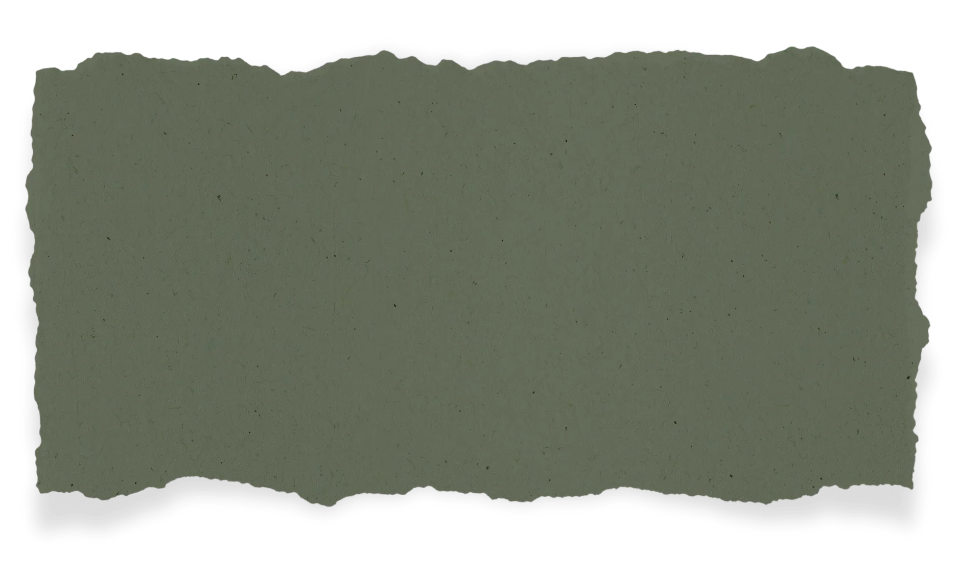 Torn piece of greenish paper with rough border