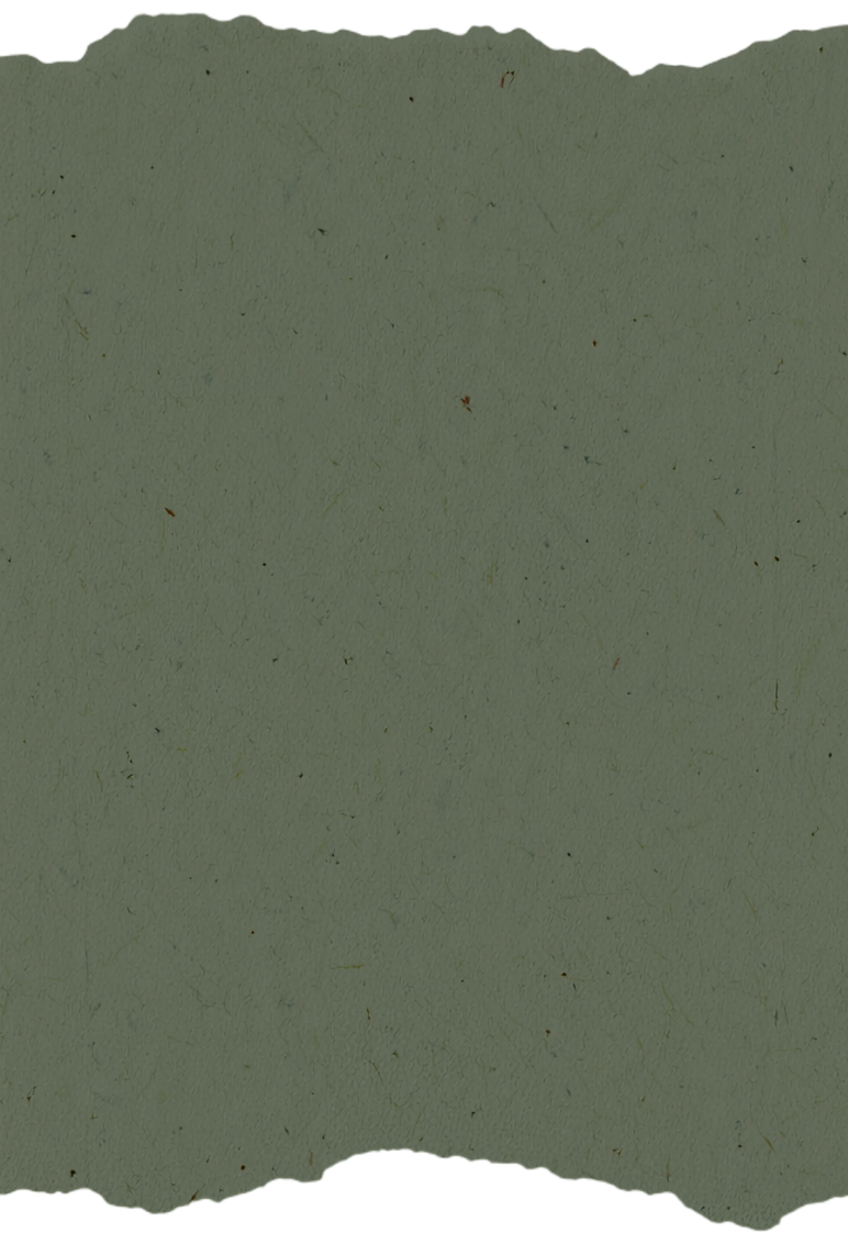 A torn piece of paper or material with rough edges, green textured paper