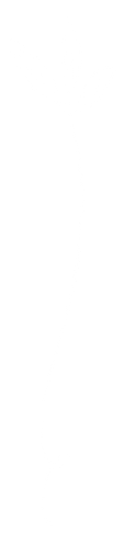 Simple white line drawing of a plant with three leaves on transparent background