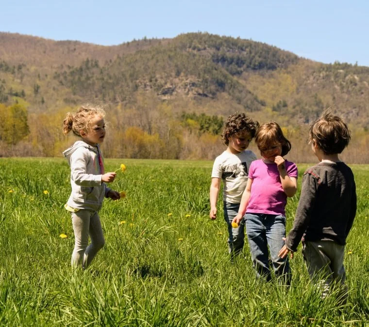 children exploring field and picking flowers during outdoor learning in North Conway NH