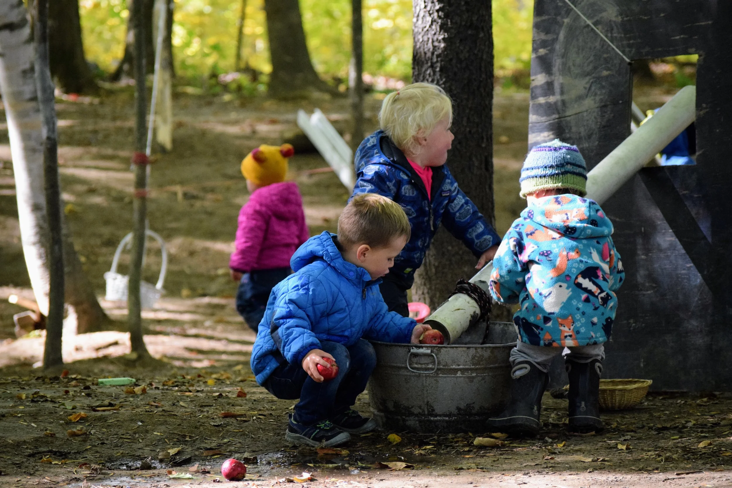 Children washing apples together outdoors at The Lilliputian School.