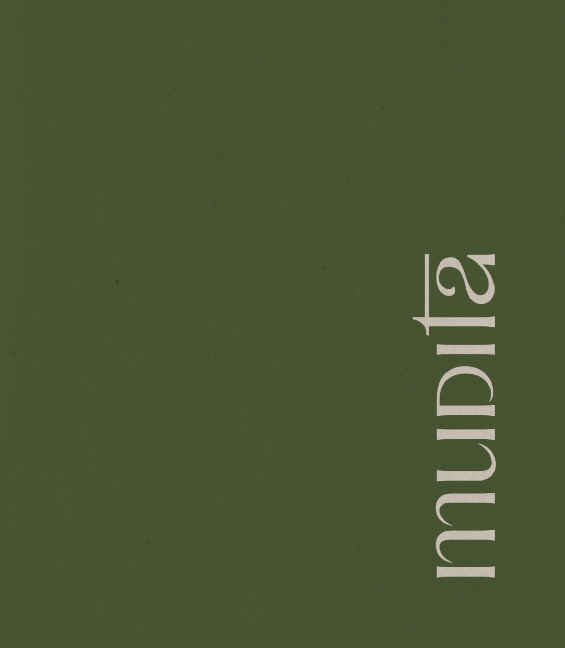Cubierta de un libro verde con el título 'Mundo Pict' en letras blancas.