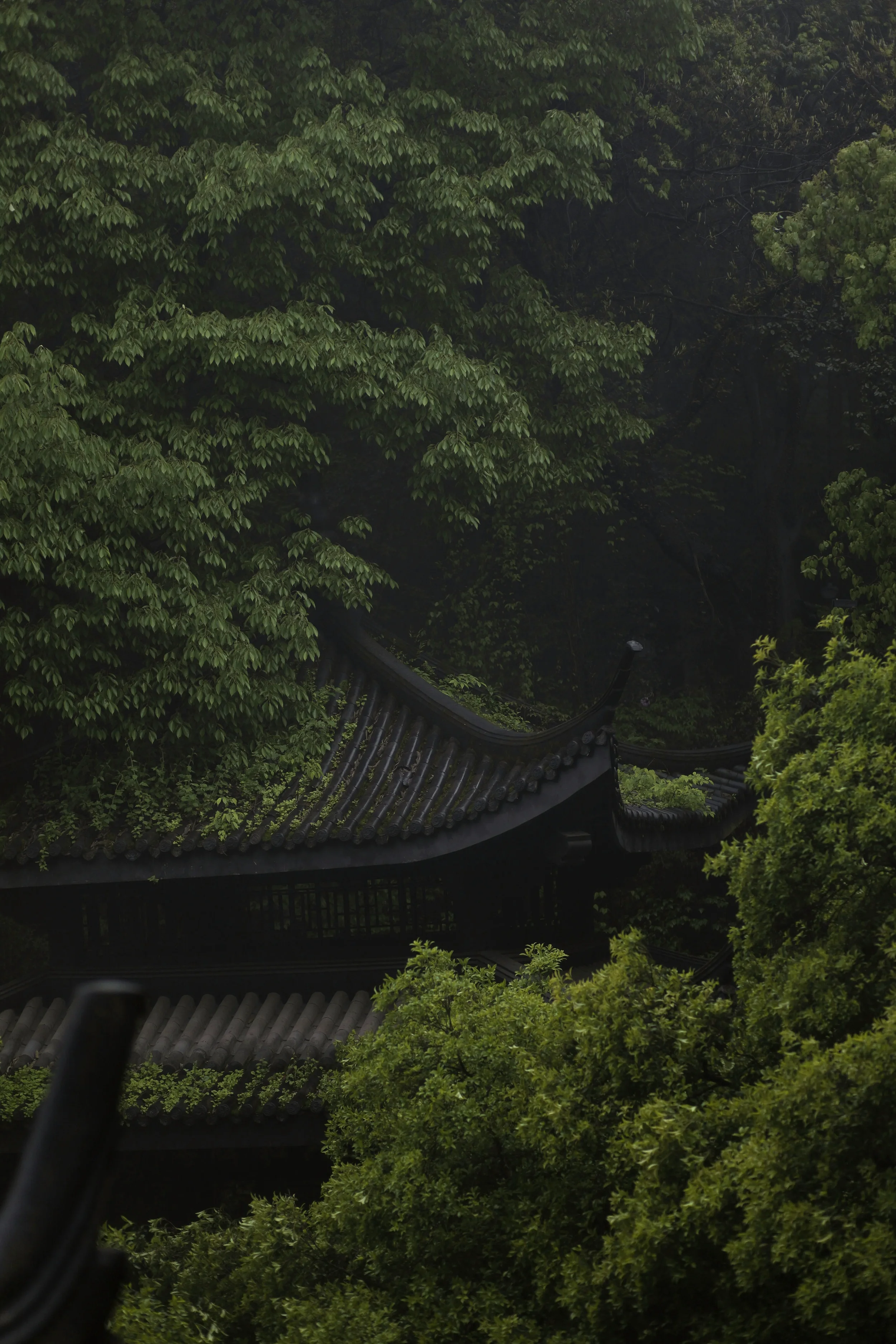 Vista de un techo tradicional de una pagoda japonesa rodeada de árboles verdes y frondosos.