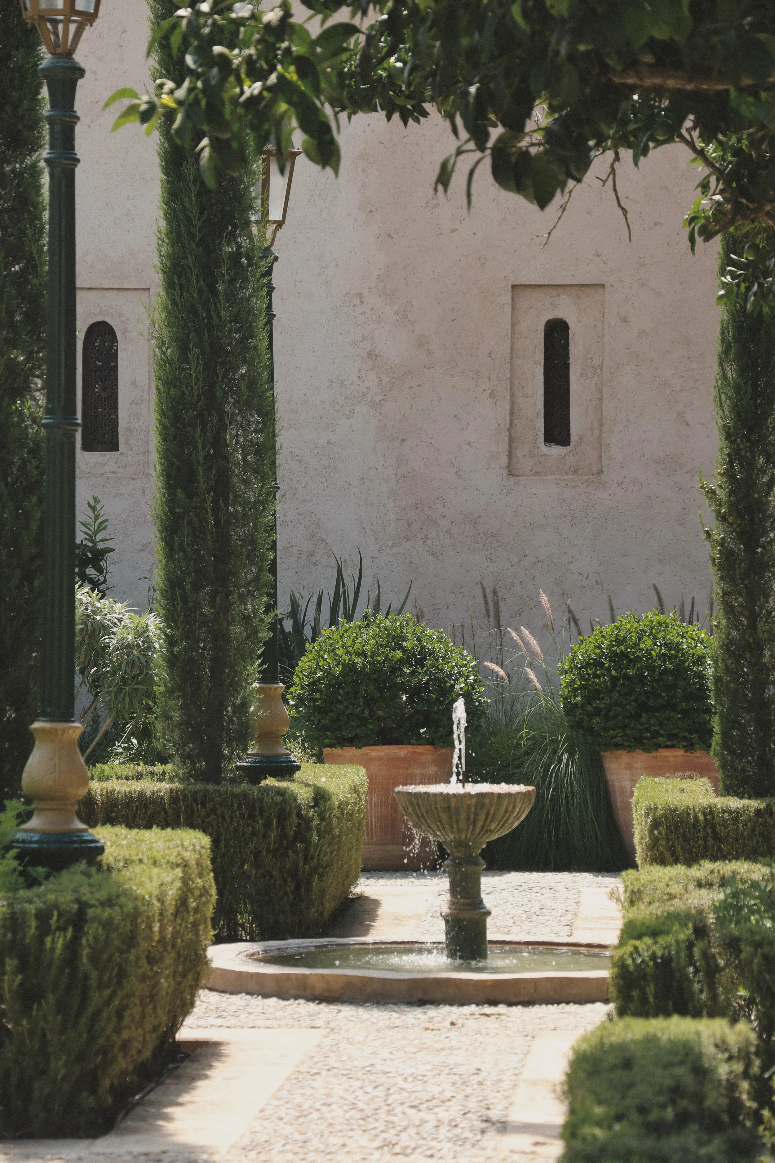 Jardín con fuente de agua en el centro, rodeado de arbustos y potted de plantas verdes, con pared beige de fondo y árboles altos a los lados.