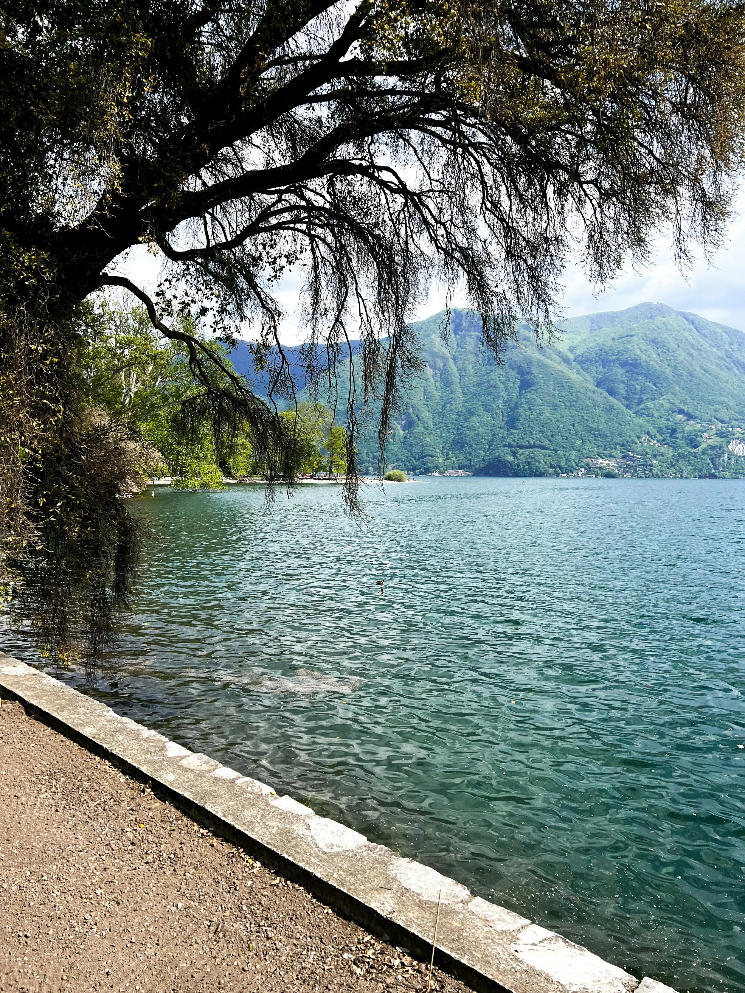 Vista de un lago con montañas verdes al fondo, un árbol cubre parcialmente la vista, y un camino de tierra y piedra corre junto al borde del agua.