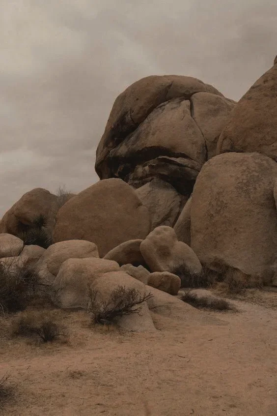 Arenas y rocas grandes en un paisaje desértico con árboles secos y cielo nublado.