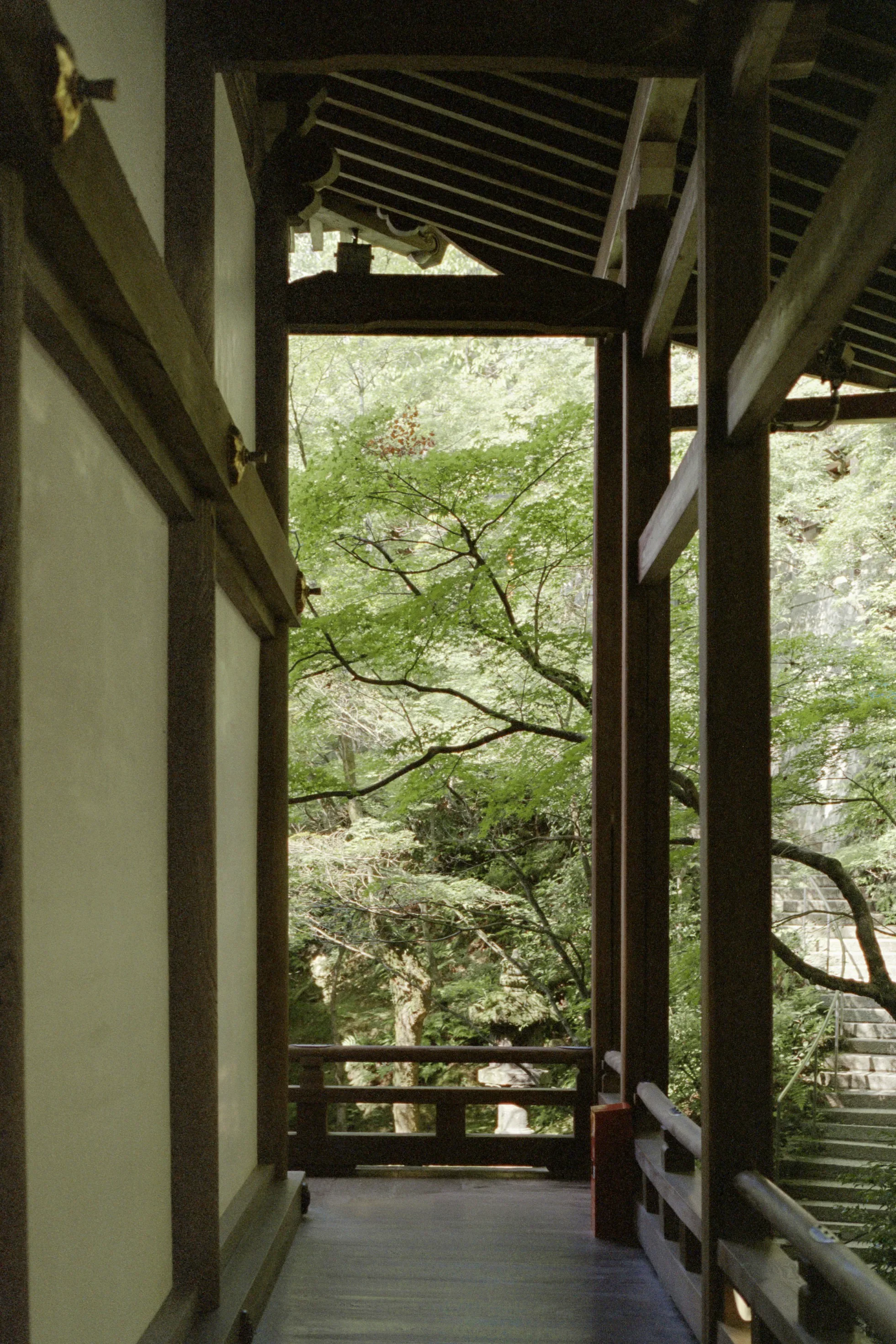 Pasillo de madera en un templo japonés con vista a árboles verdes.