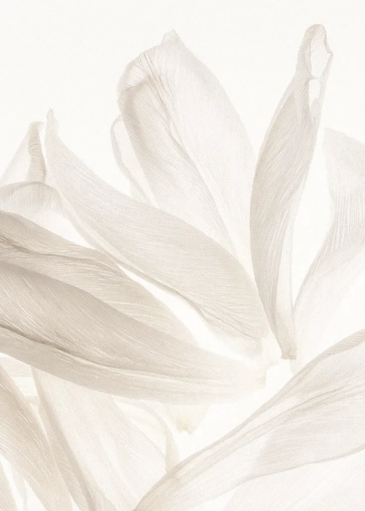 Hojas de color blanco y crema con una textura suave y detalles delicados.
