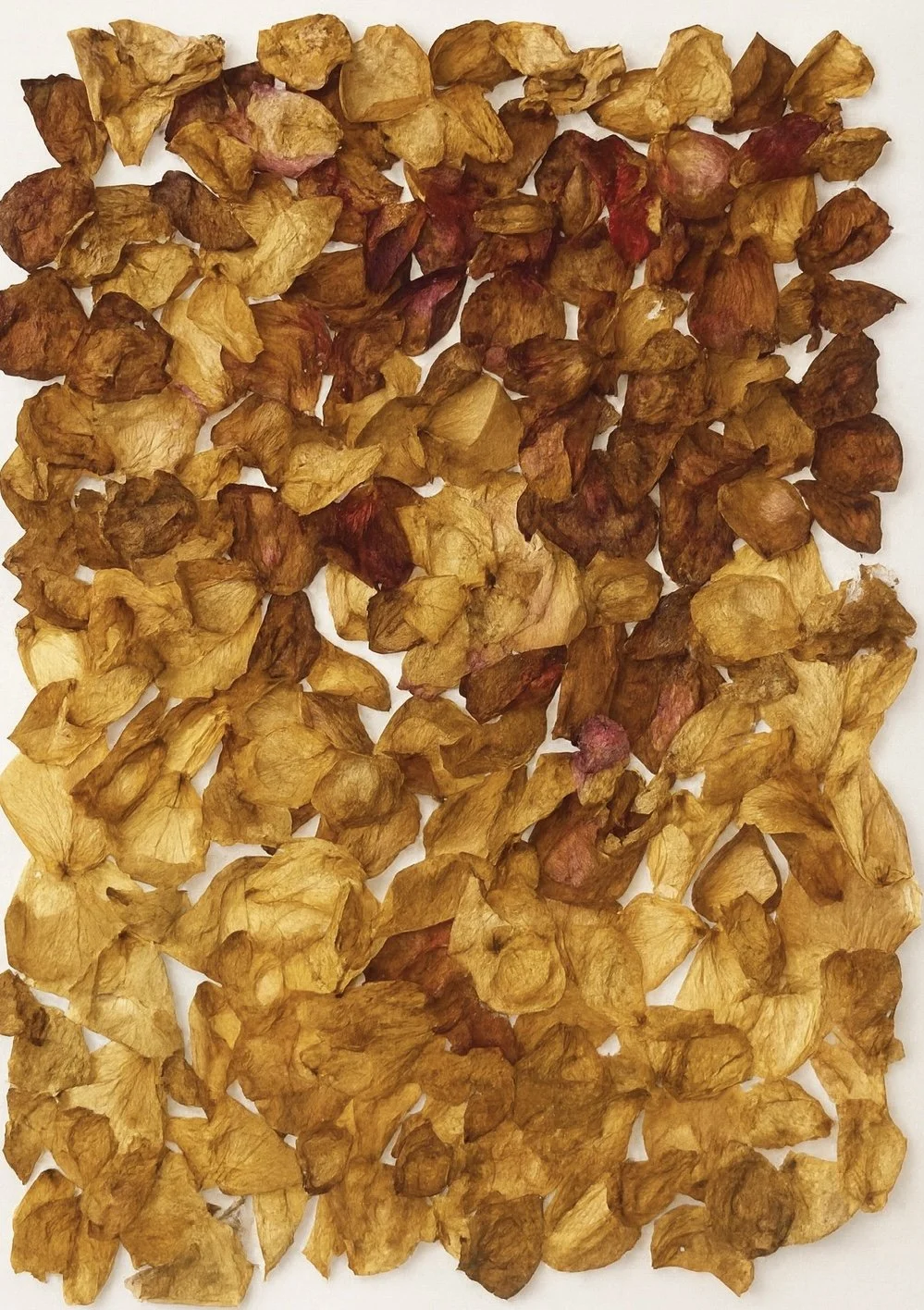 He Loves Me, He Loves Me Not (2025)
