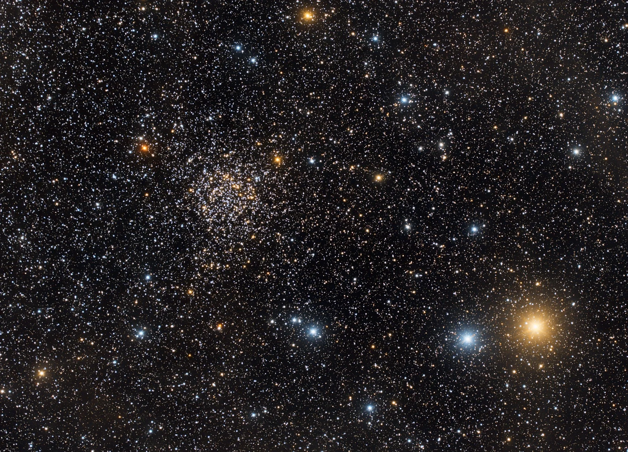 ngc7789_carolines_rose.jpg