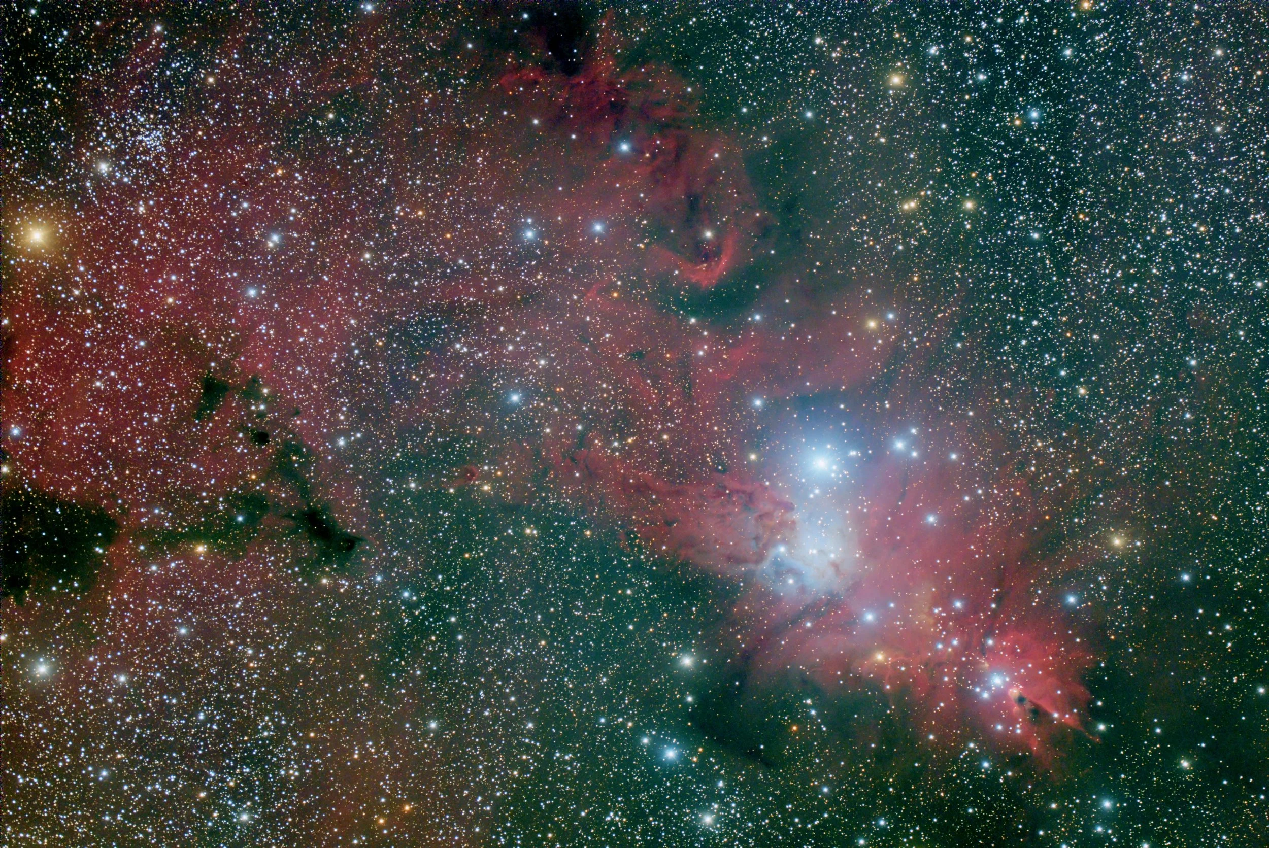 ngc2264-christmas tree cluster card DSE.jpg