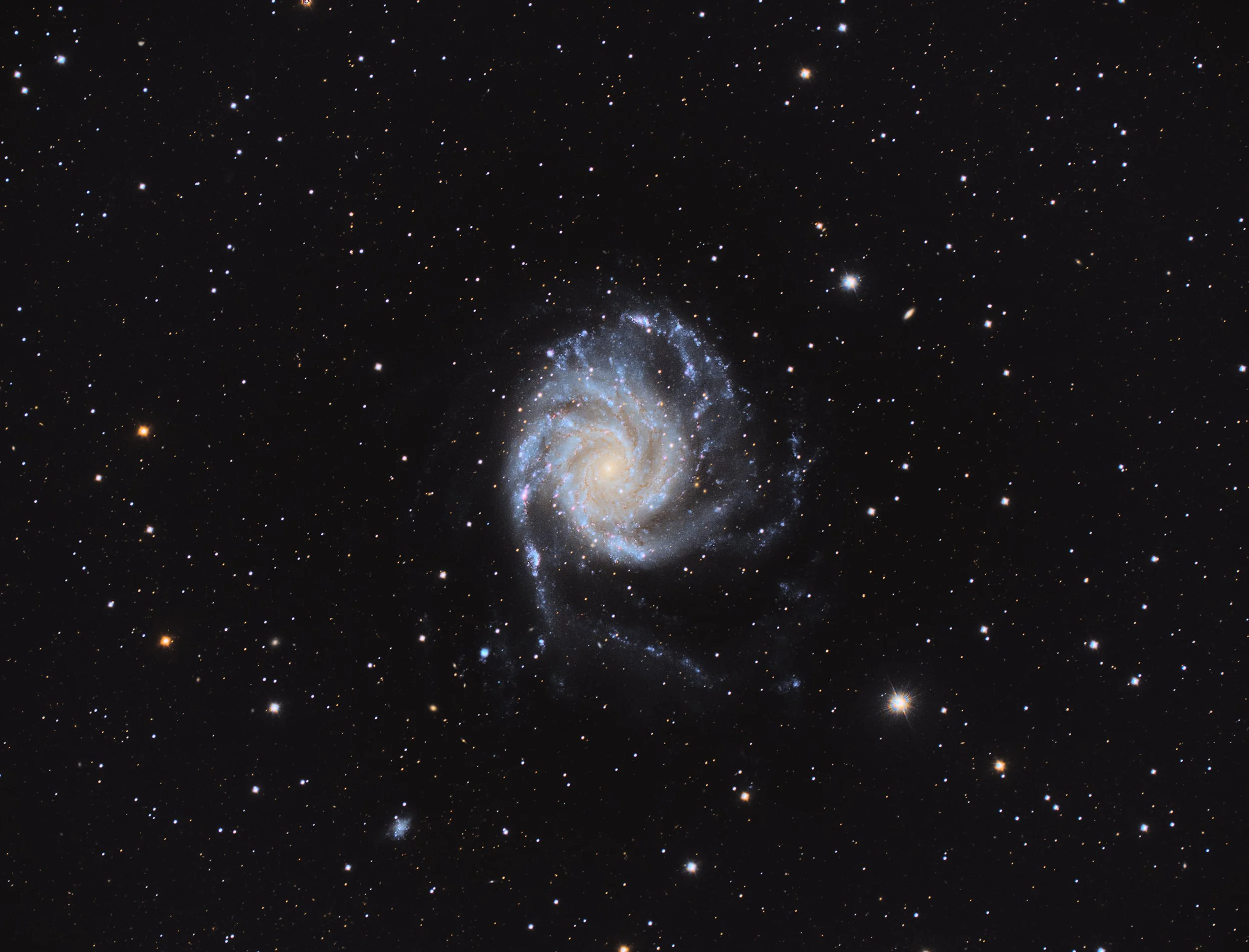 m101-final-resize.jpg