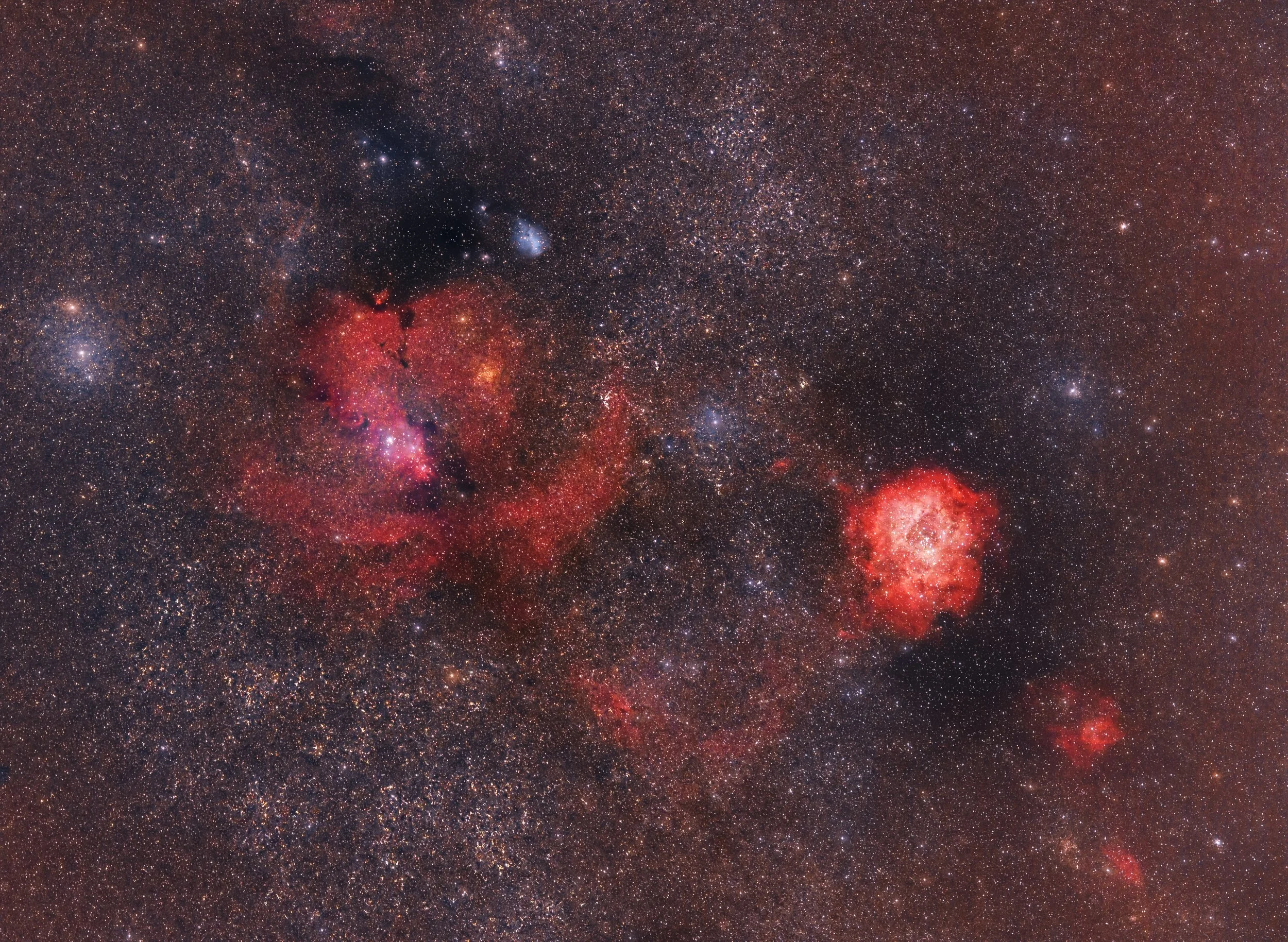 rosette widefield copy.jpg