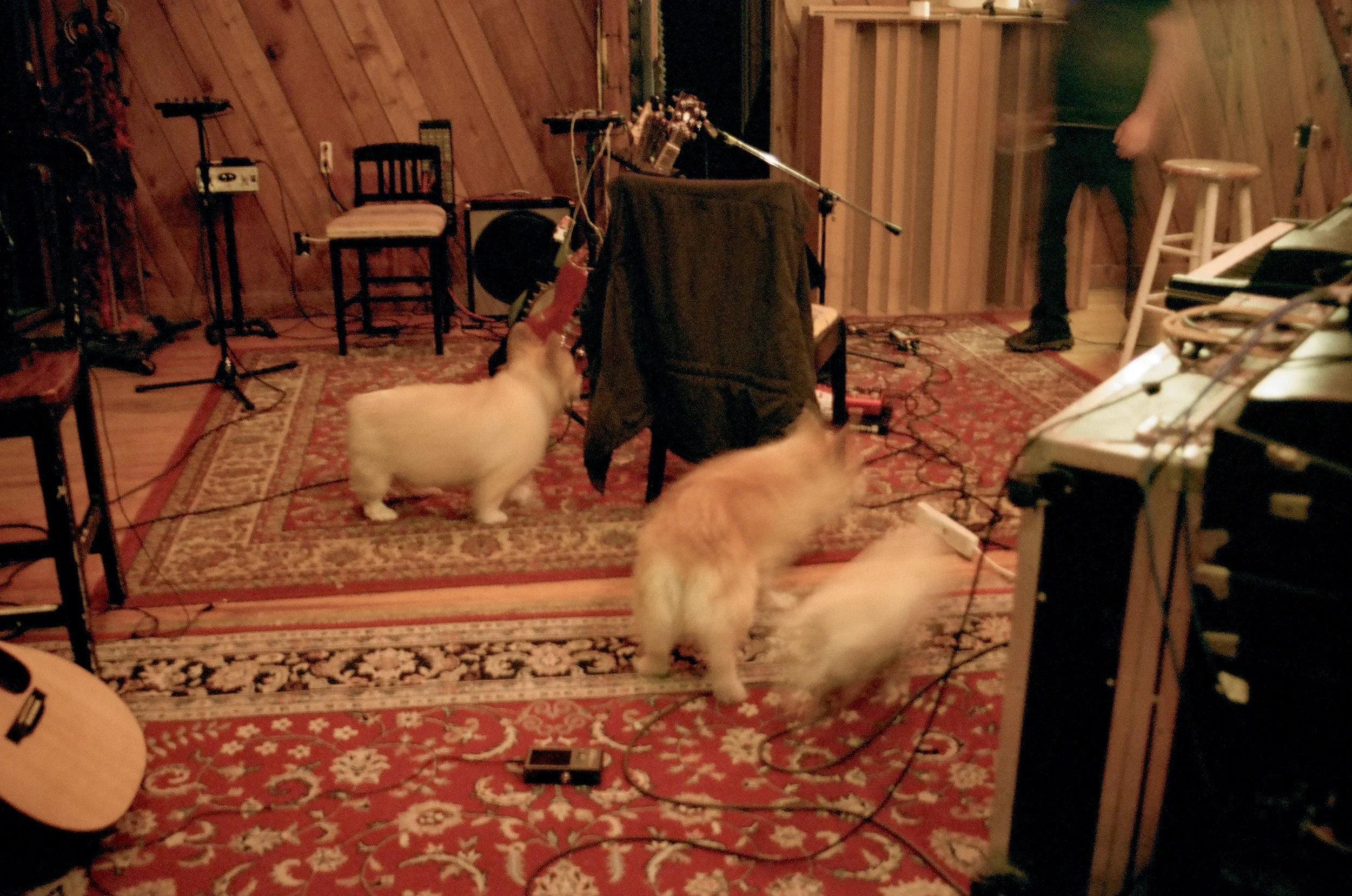 Carriage House Studios