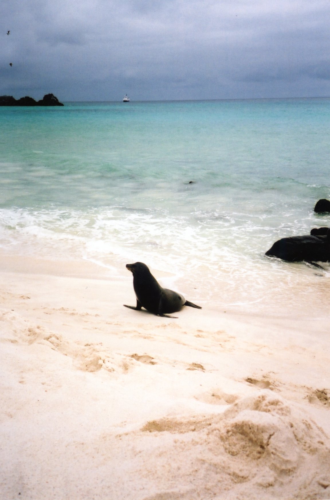 img079.jpg