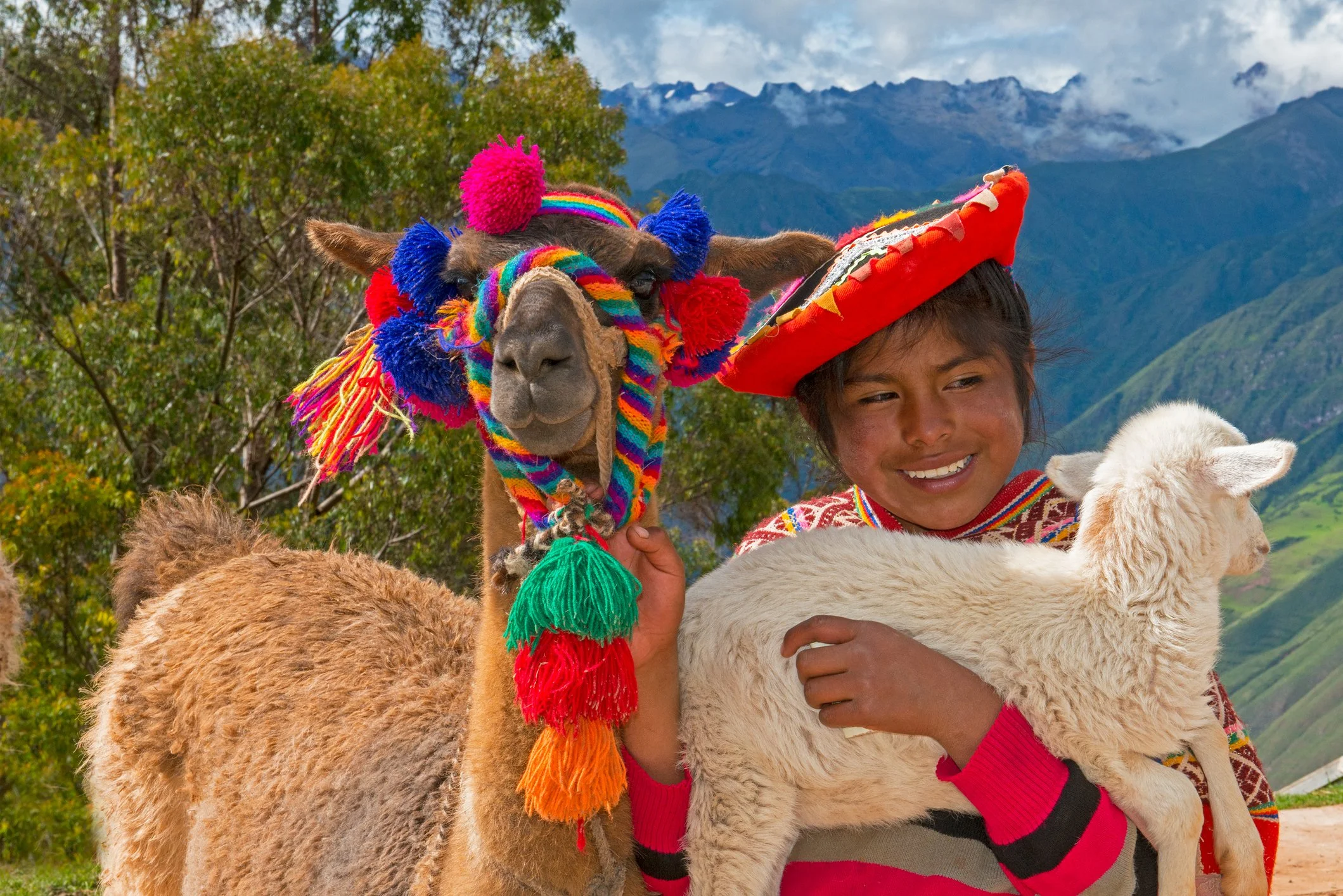 A young boy wearing a colorful traditional outfit and a red hat, holding a white alpaca in one arm, standing next to a llama decorated with vibrant, multicolored accessories, with mountains and green trees in the background.