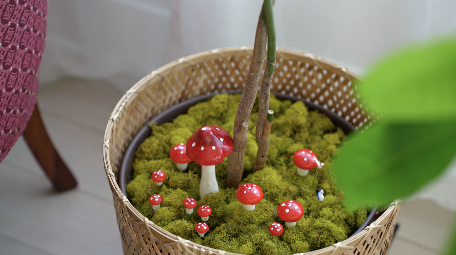 Screenshot 2026-02-22 at 2.47.08 PM.png