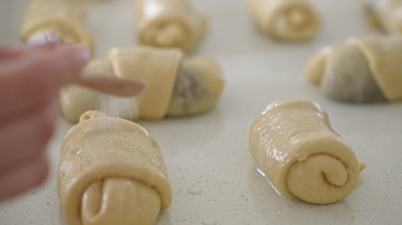 Screenshot 2026-02-22 at 2.49.23 PM.png