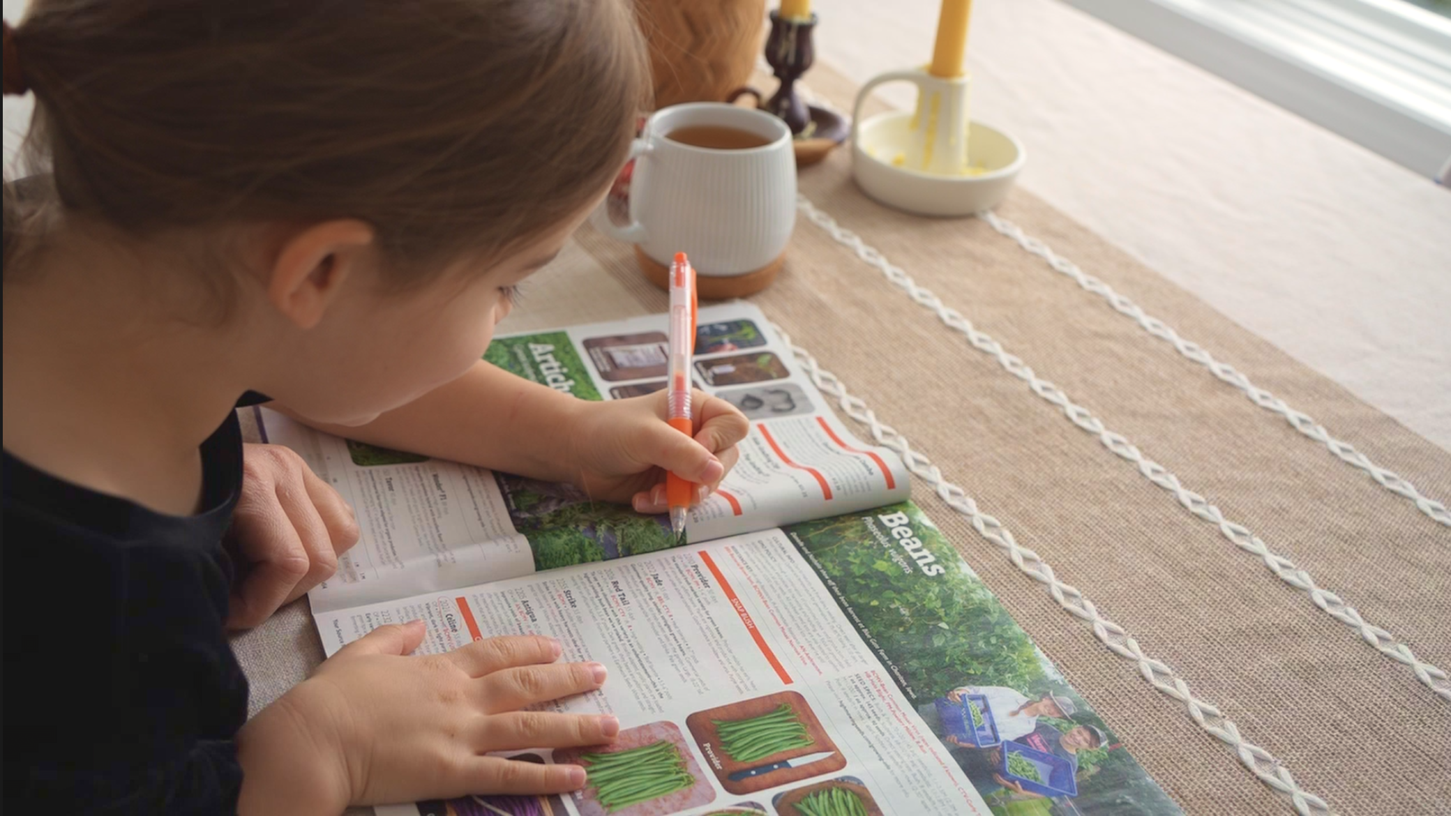 Screenshot 2026-02-11 at 12.04.23 PM.png