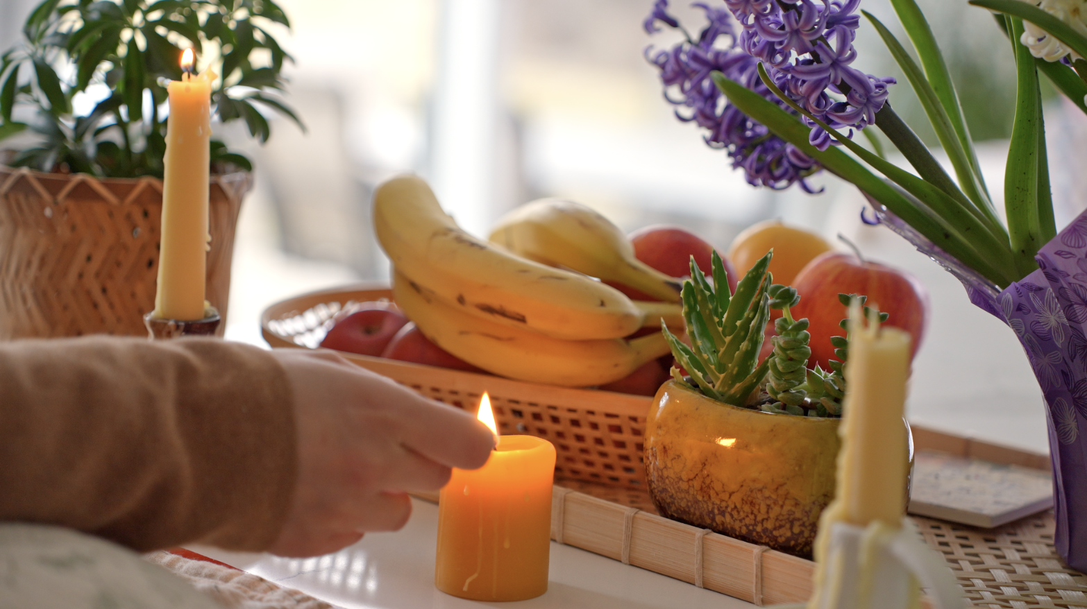 Screenshot 2026-02-22 at 2.48.03 PM.png