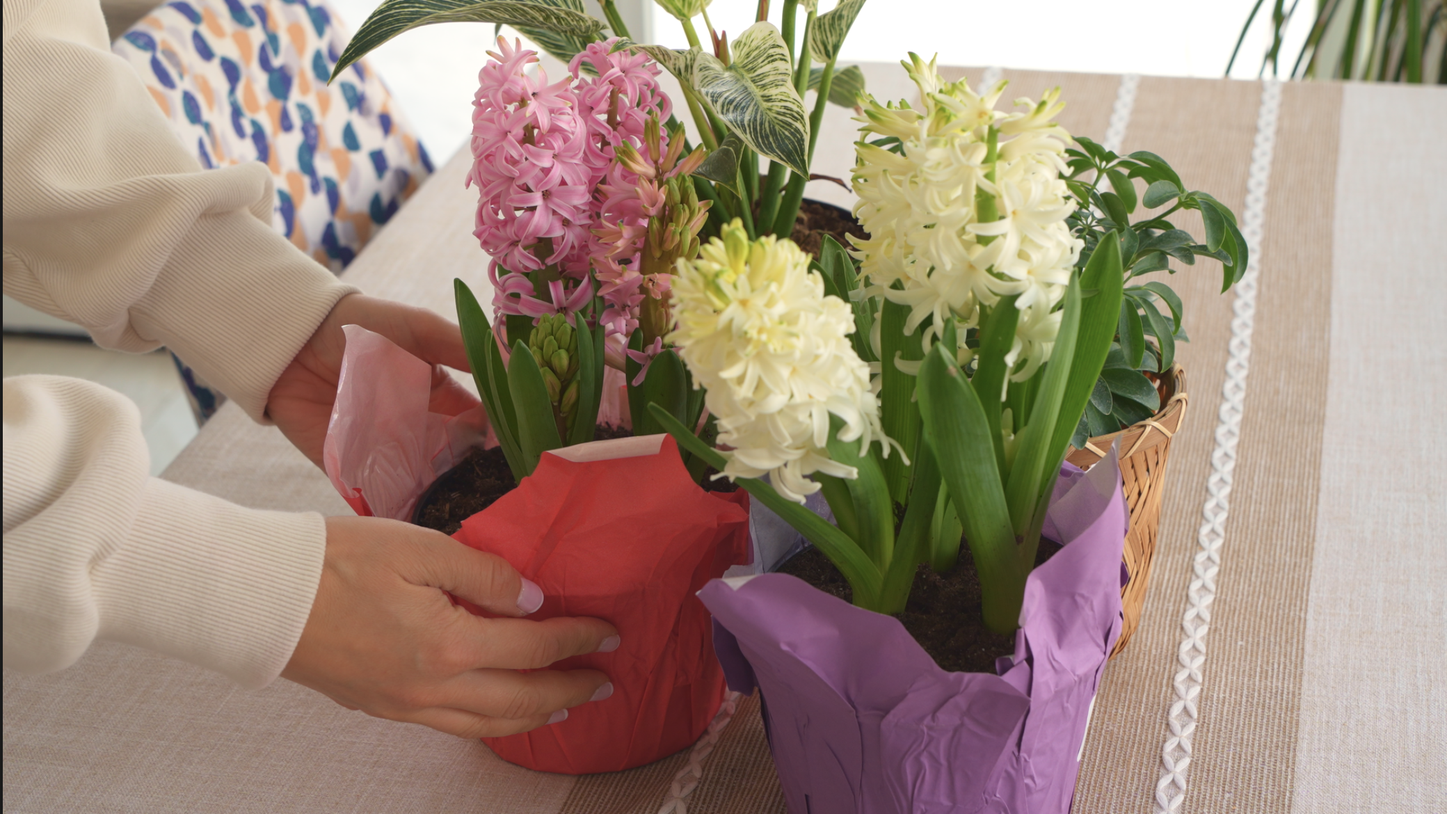 Screenshot 2026-02-11 at 12.00.49 PM.png