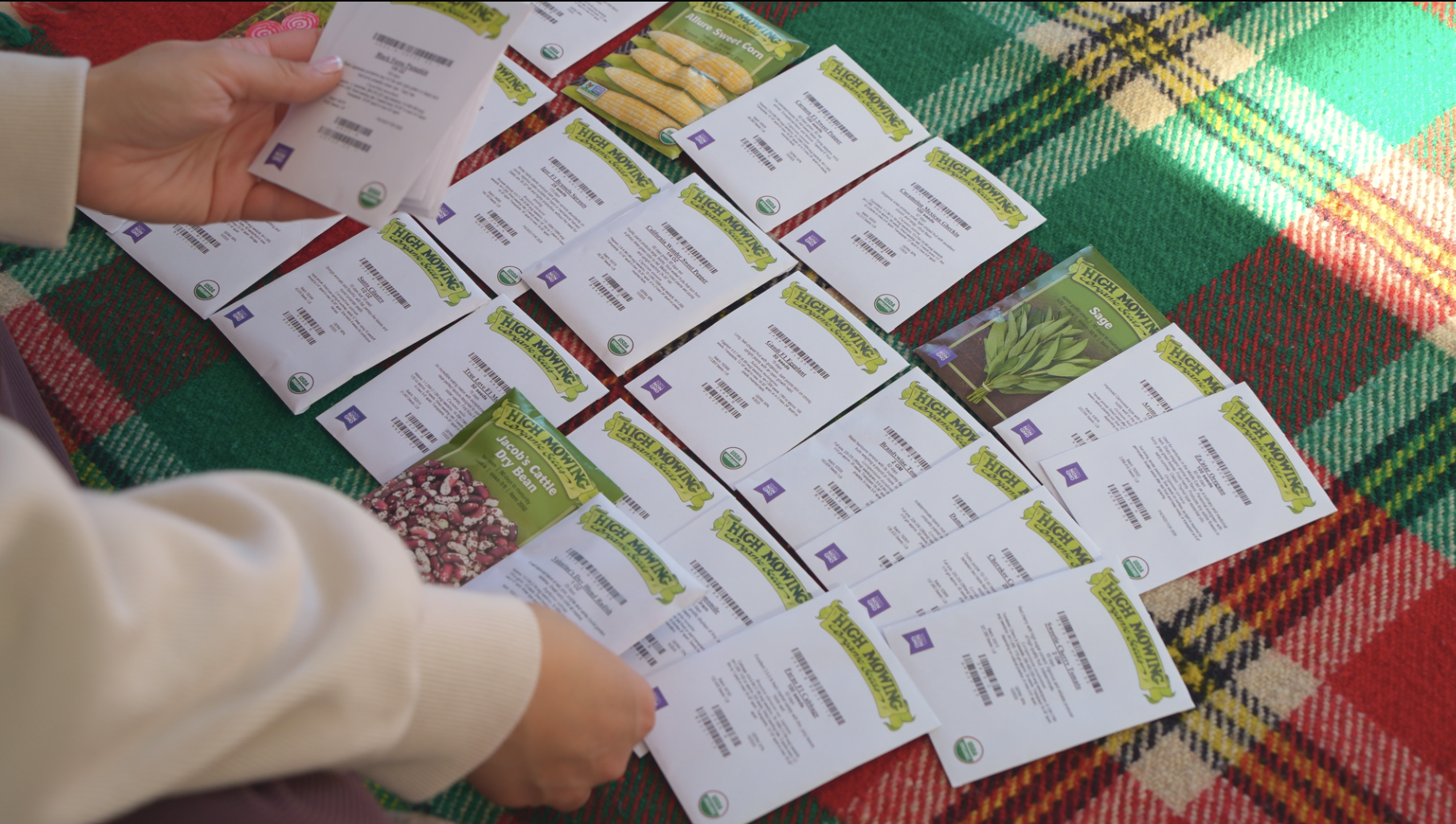 Screenshot 2026-02-11 at 12.13.04 PM.png