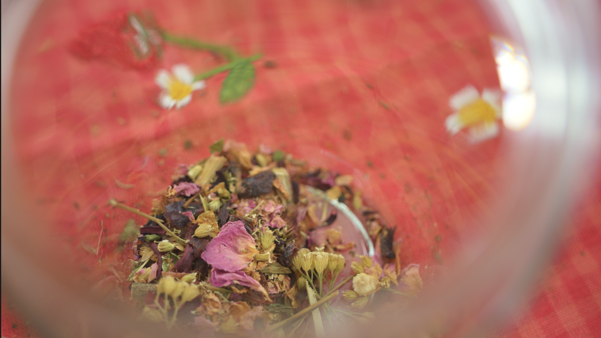 Screenshot 2026-02-11 at 12.02.14 PM.png