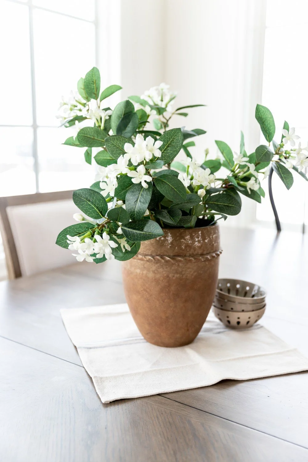A terracotta pot with green leaves and white flowers on a table. There are small bowls beside it and a white cloth underneath. Light is coming through a large window in the background.