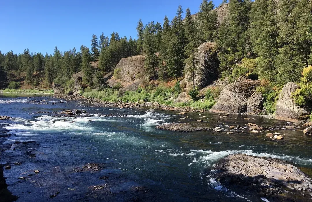 bowl and pitcher.webp
