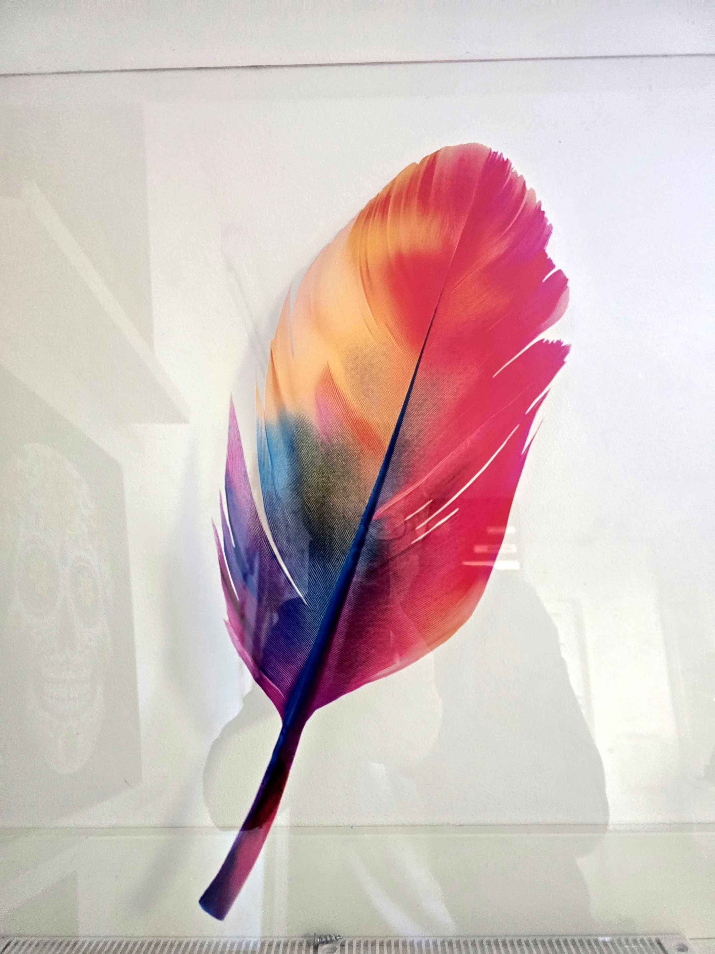 Feather on glass.jpg