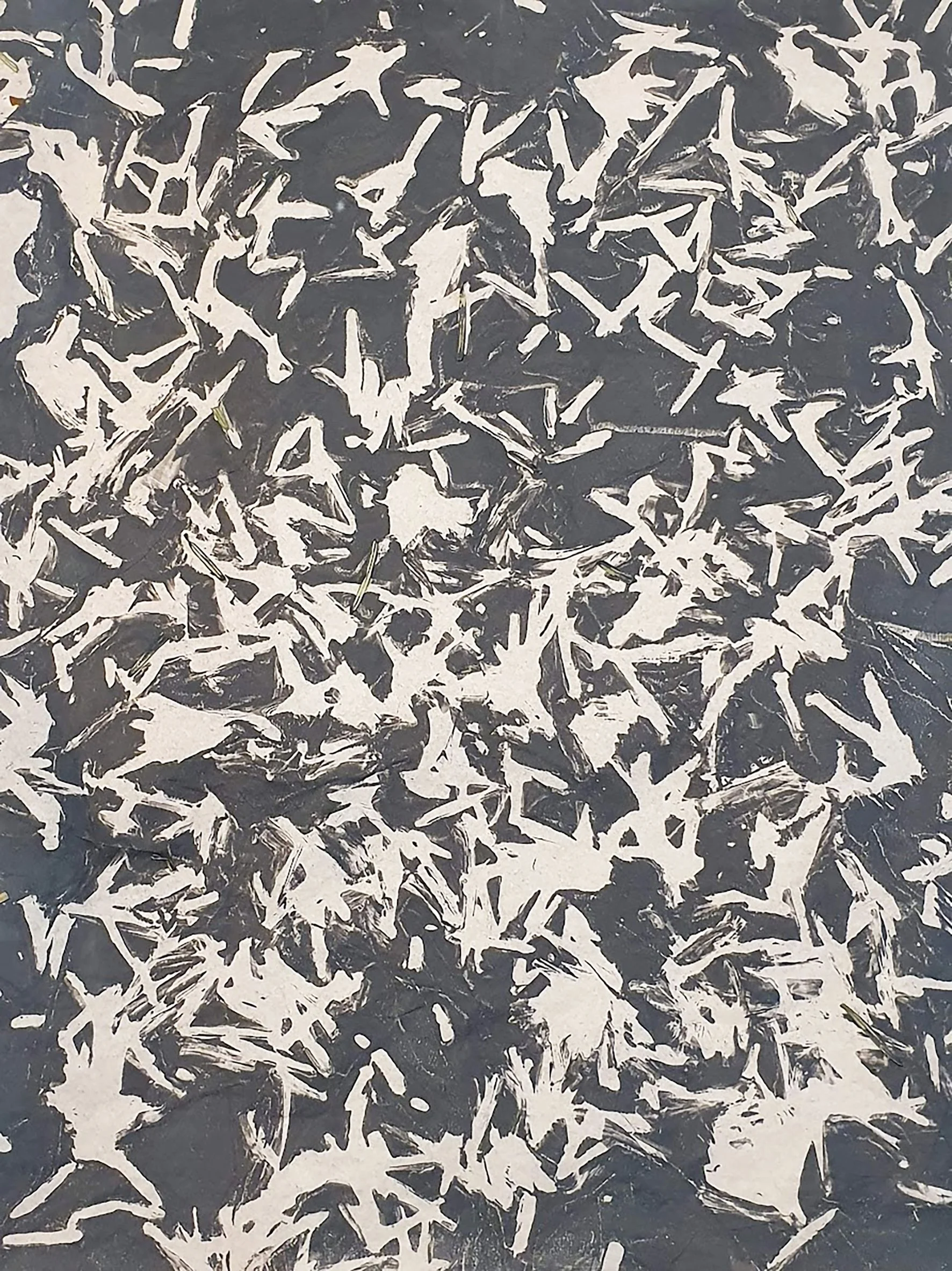 Needle Litter Negative.jpg