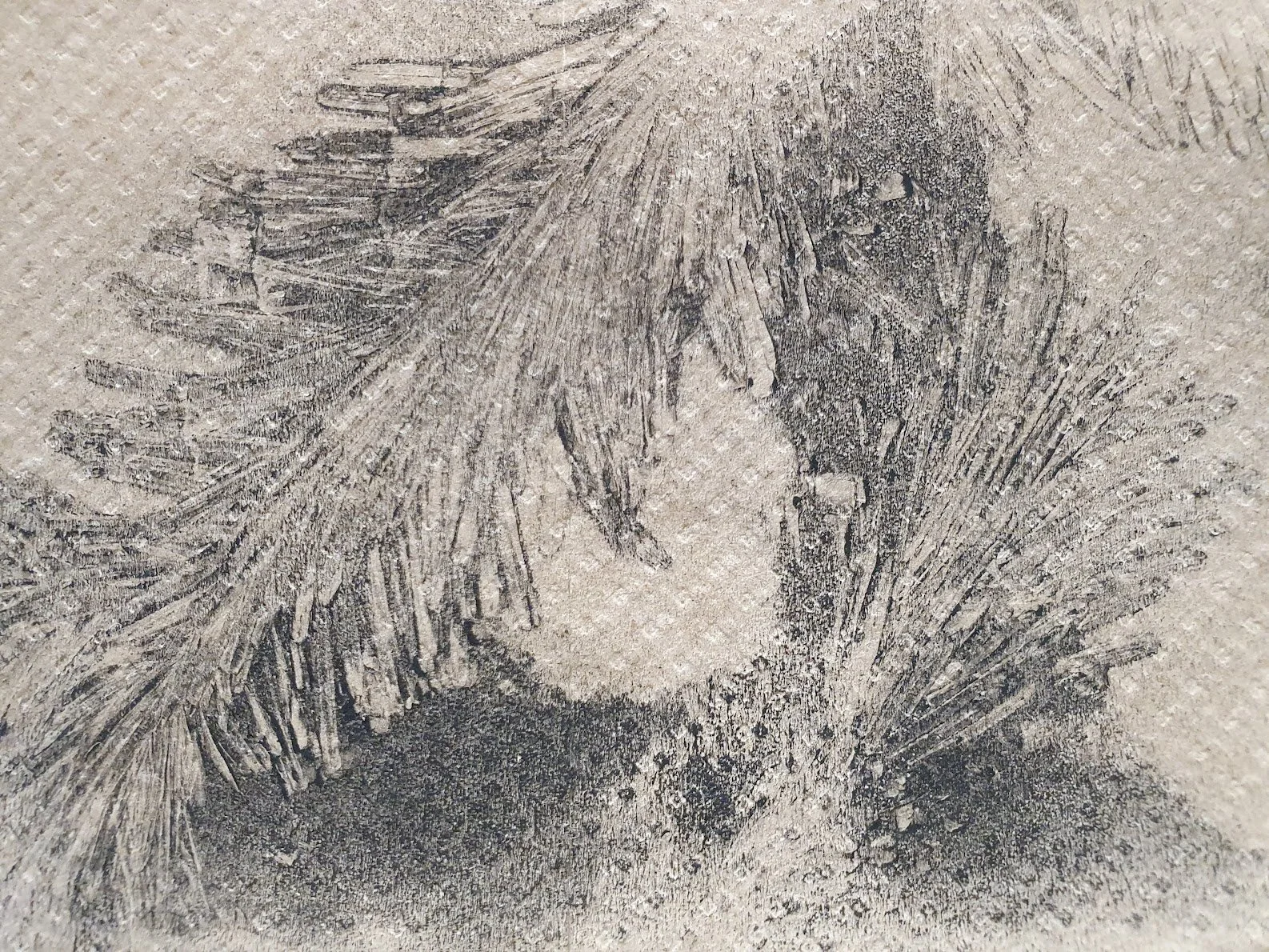 20260122_143757.jpg