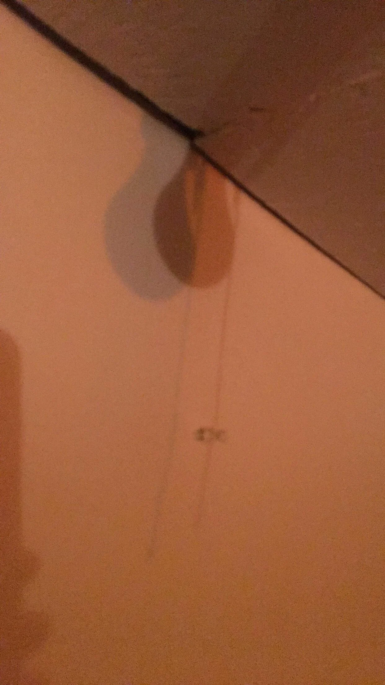 Close-up of a ceiling with a pull chain hanging from a ceiling fan or light fixture