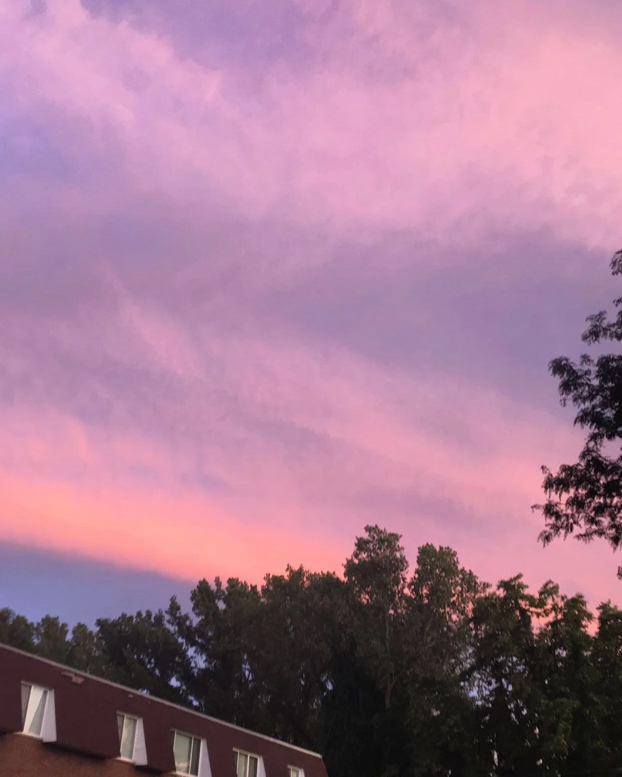 From Issue to Persuasion 