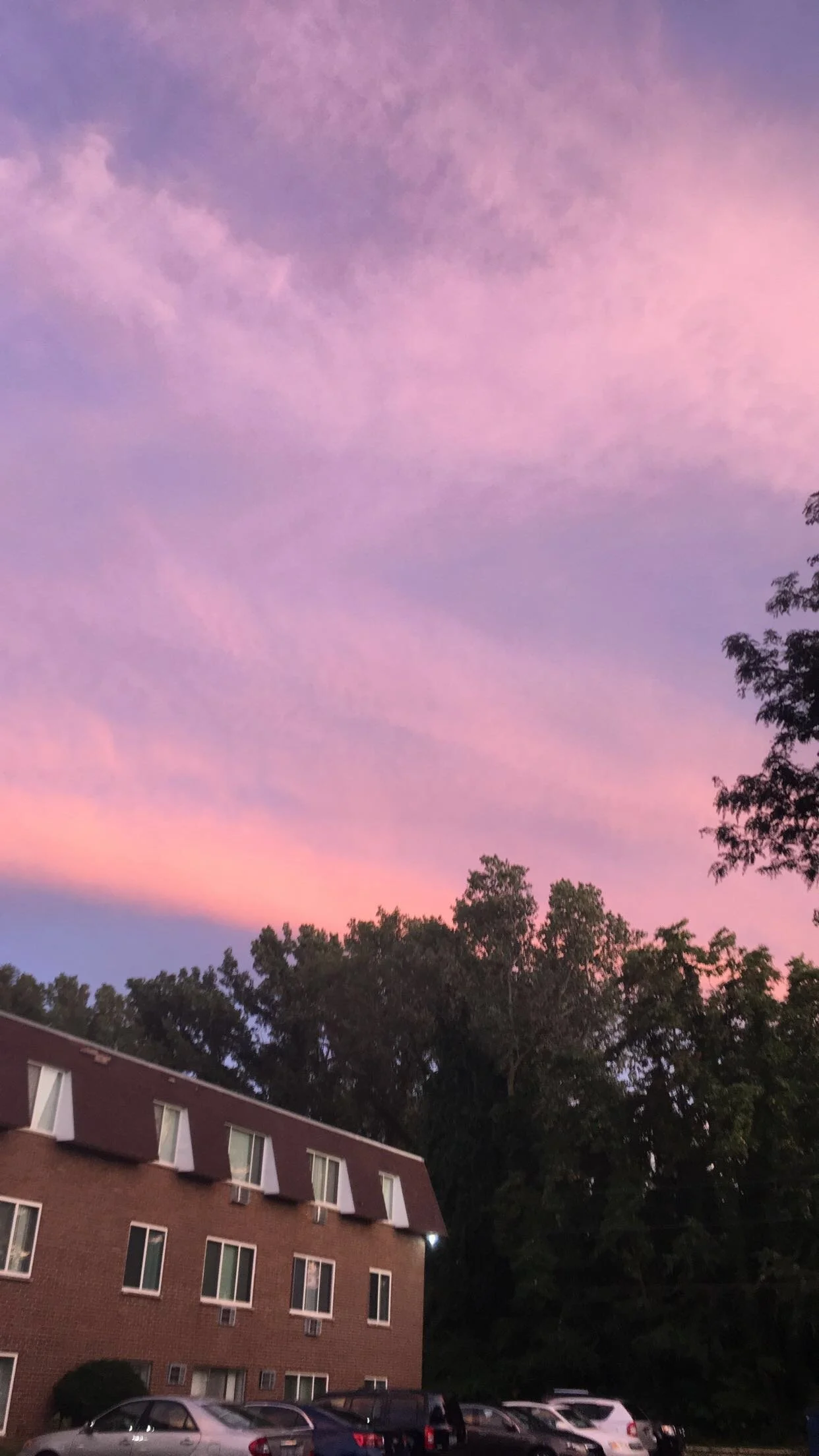 Photo of a pink and purple sunset sky above a brick building with windows and parked cars, with trees surrounding the building.