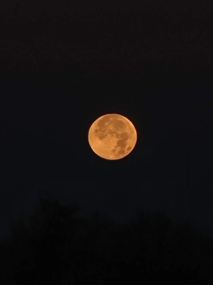 Full moon glowing orange in a dark night sky