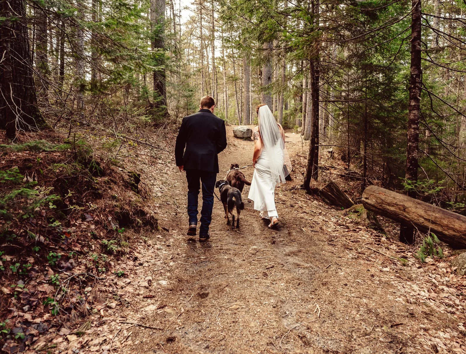 new-england-mountain-elopement-photography.jpg