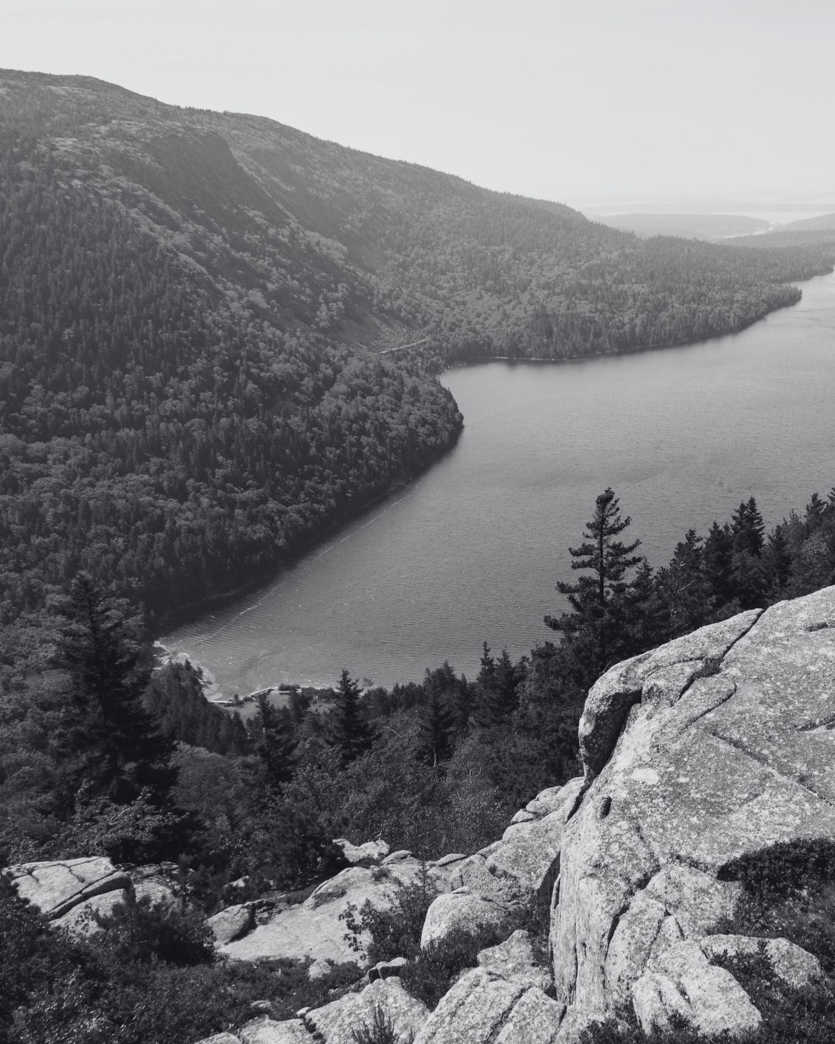 A black and white photo of a river running through a mountainous forested landscape, with a rocky foreground and trees along the riverbank.