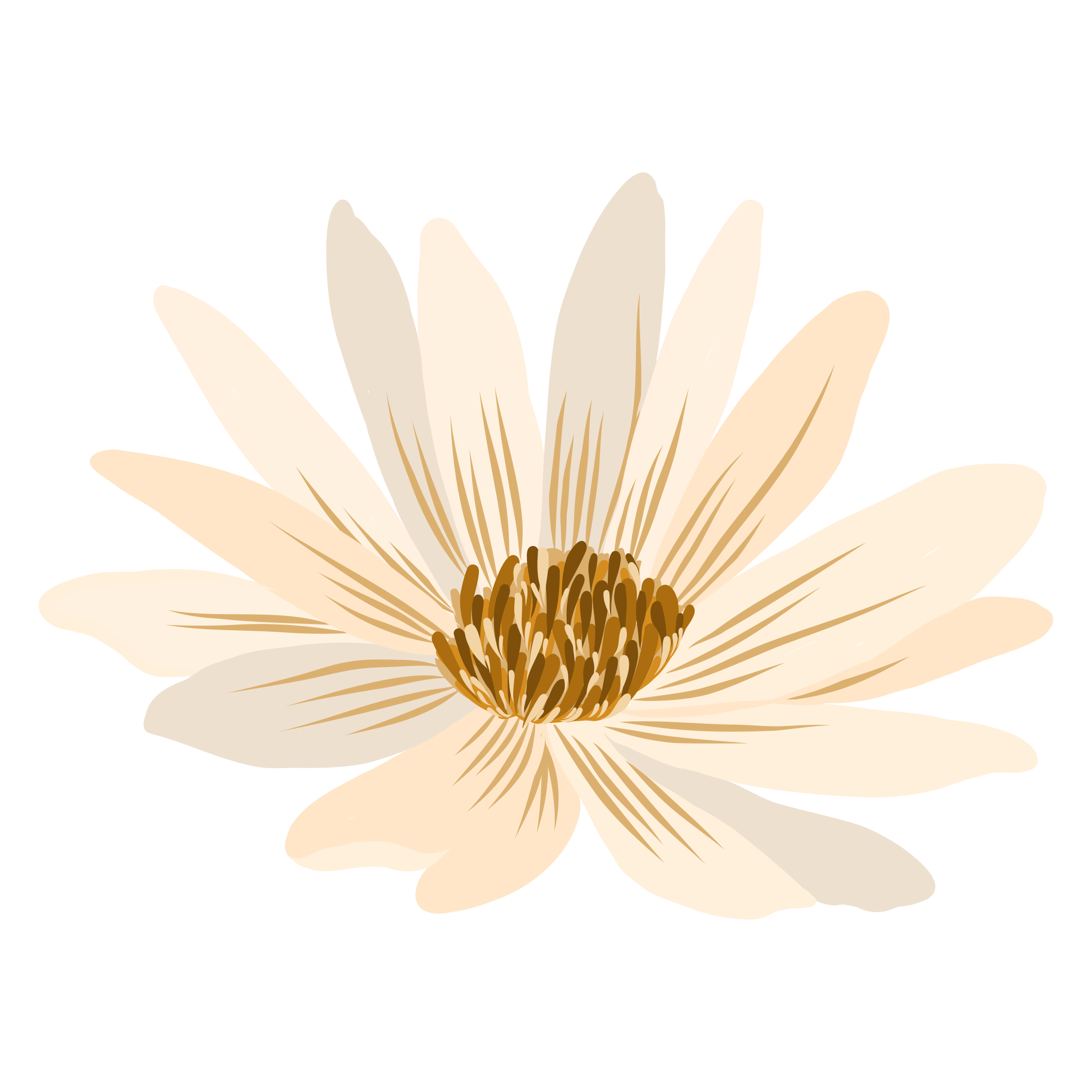 Digital illustration of a white flower with a yellow center on a black background.
