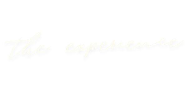 Stylized handwritten text reading 'the experience' on a black background.