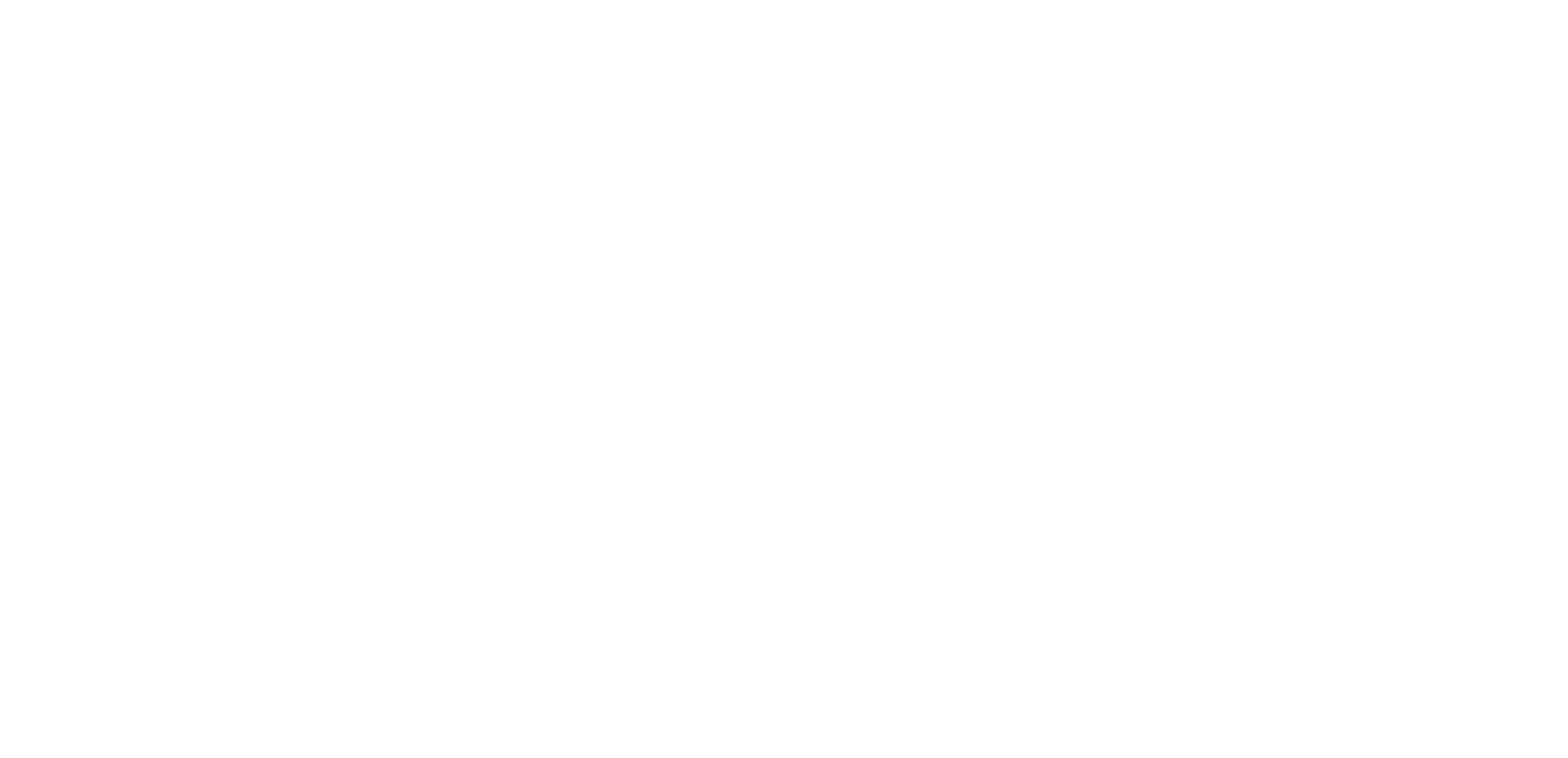 Transaction capital logo (white).png