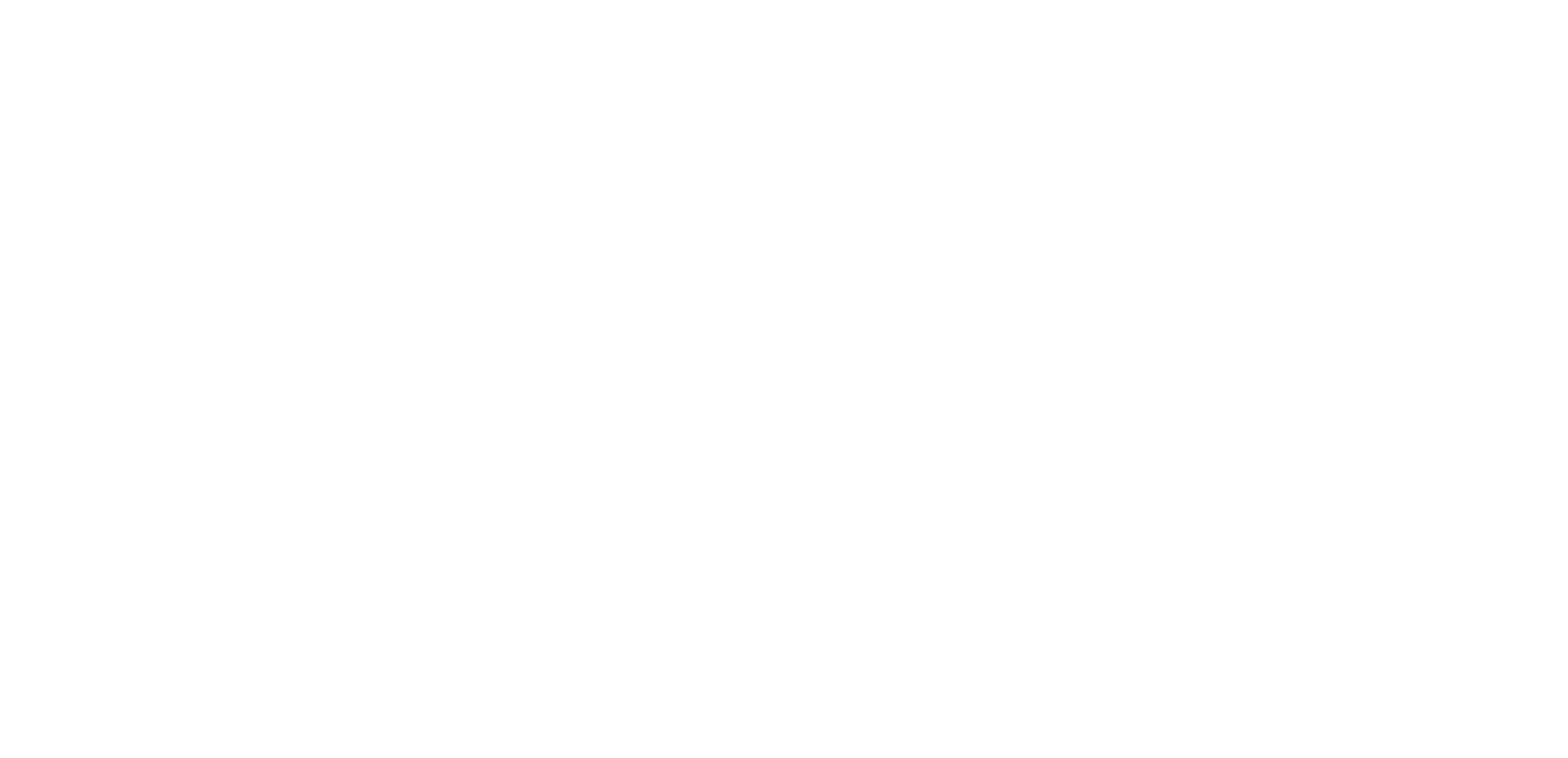 Webuycars logo (white).png