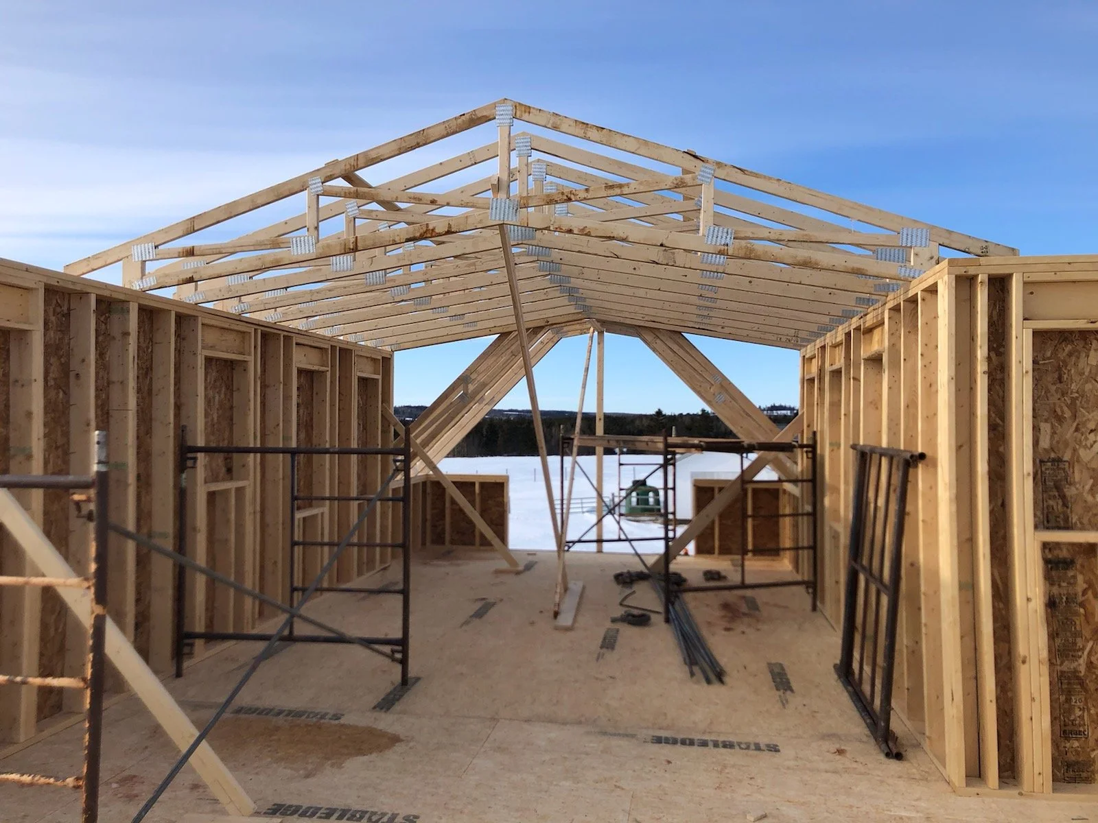 looking  North towards Bed. 4.JPG