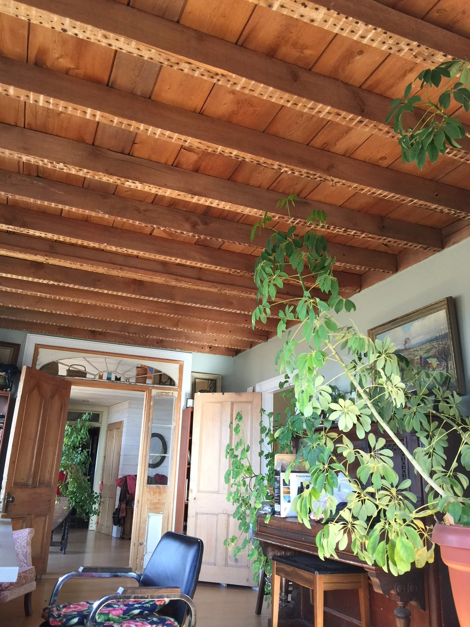 Sandras office ceiling.JPG