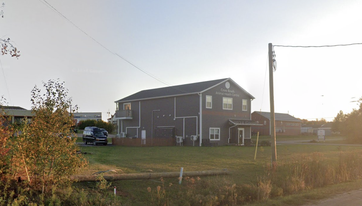 Screenshot 2026-02-05 122511.png