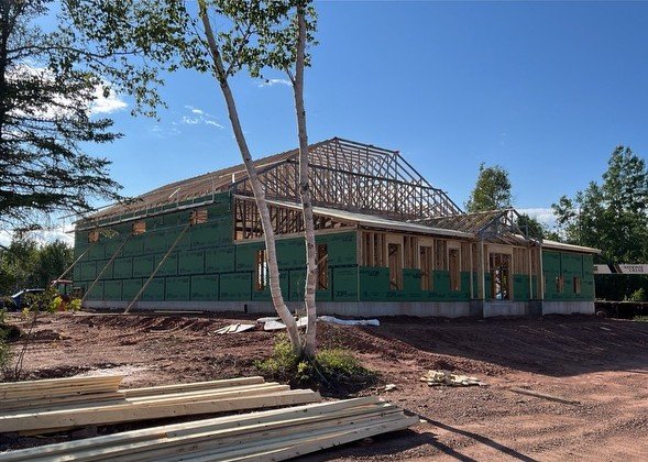 roof framing on East 2 cropped.JPEG