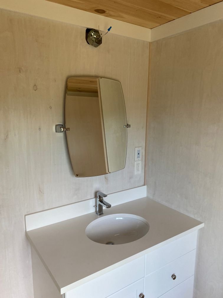 Bath 2 light needs installing.jpg