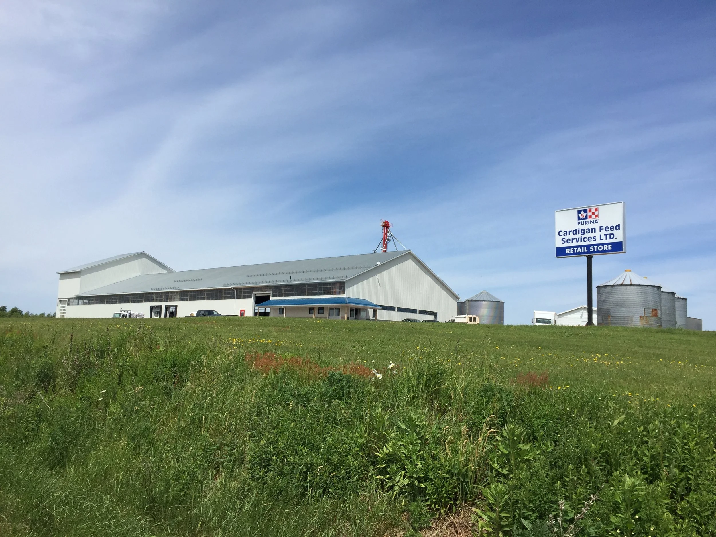 Cardigan Feed 003.JPG