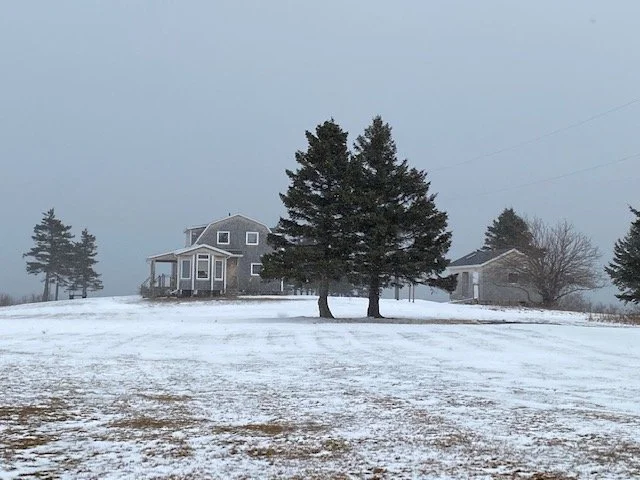 cottage & studio.jpg