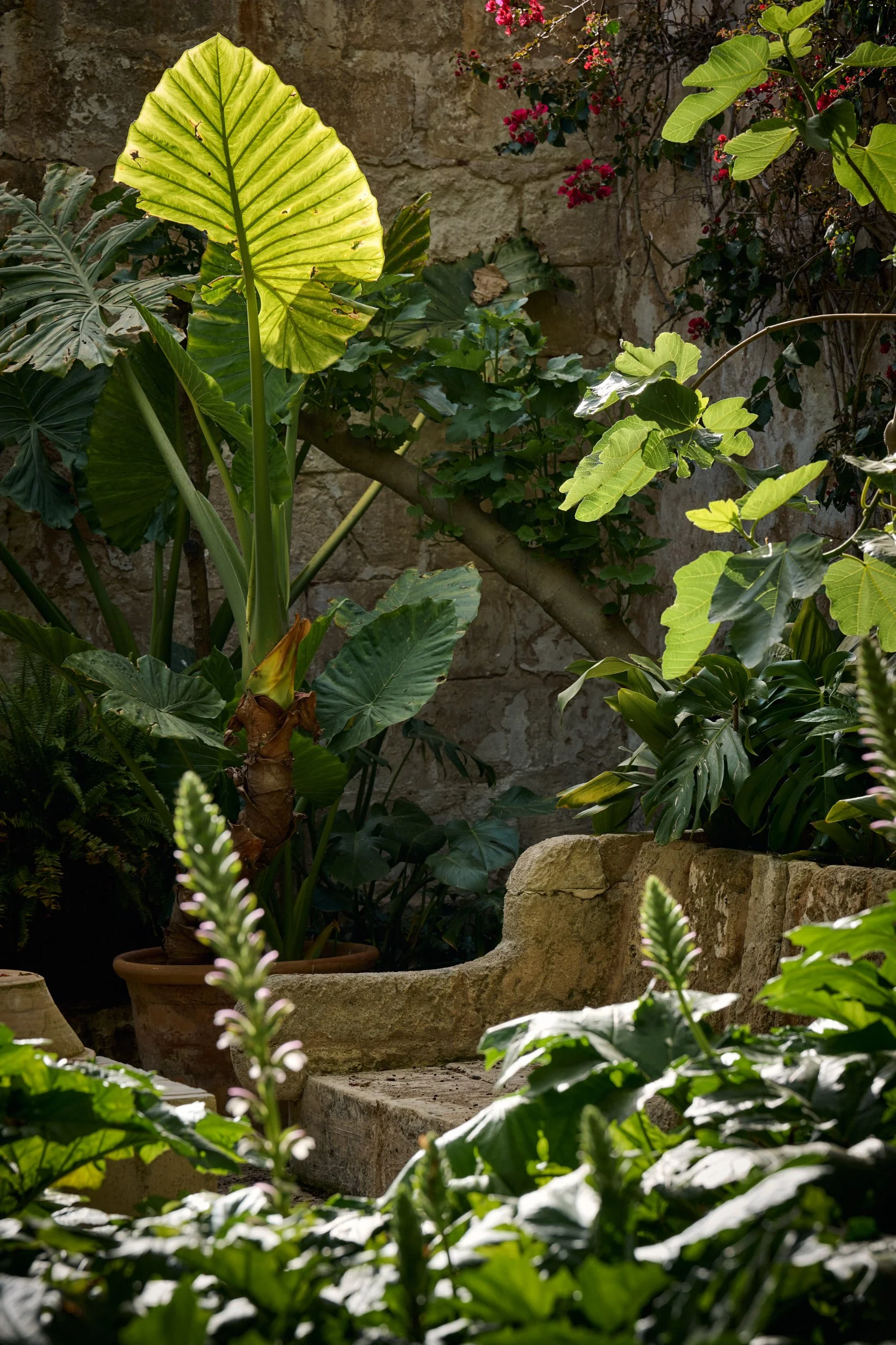 Rashid_Johnson_Artist_Residence_Menorca_Daniel_Schäfer_Studio_117_web.jpg